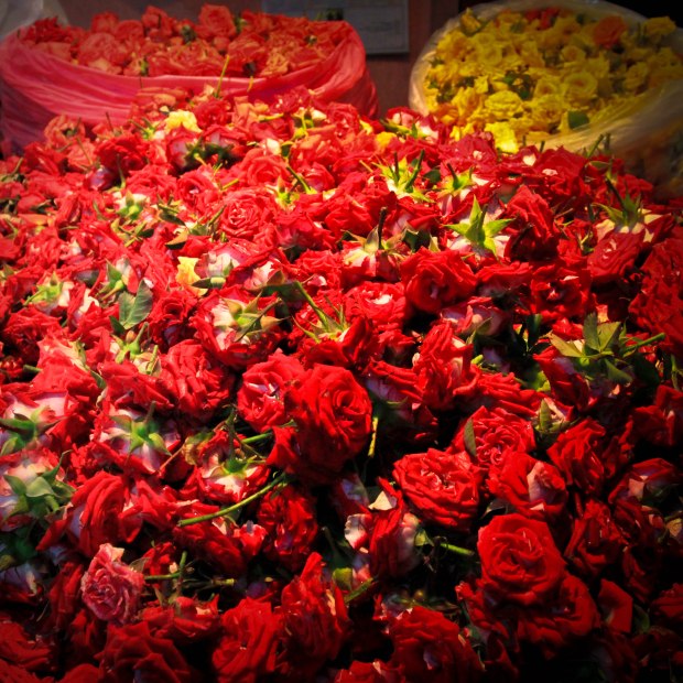 Tètes de roses. Les fleurs en tiges ne se vendent que rarement chez certains fleuristes spécialisés.