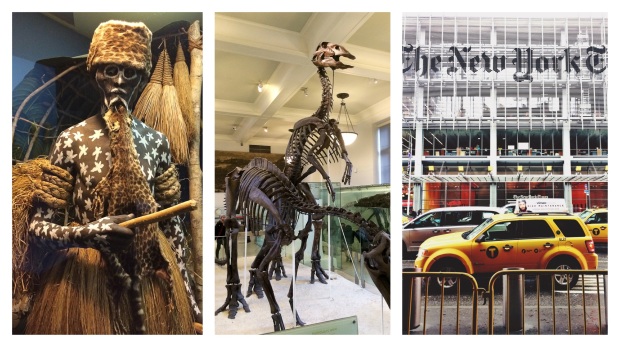 Musée d'histoire naturelle et façade du New York Times